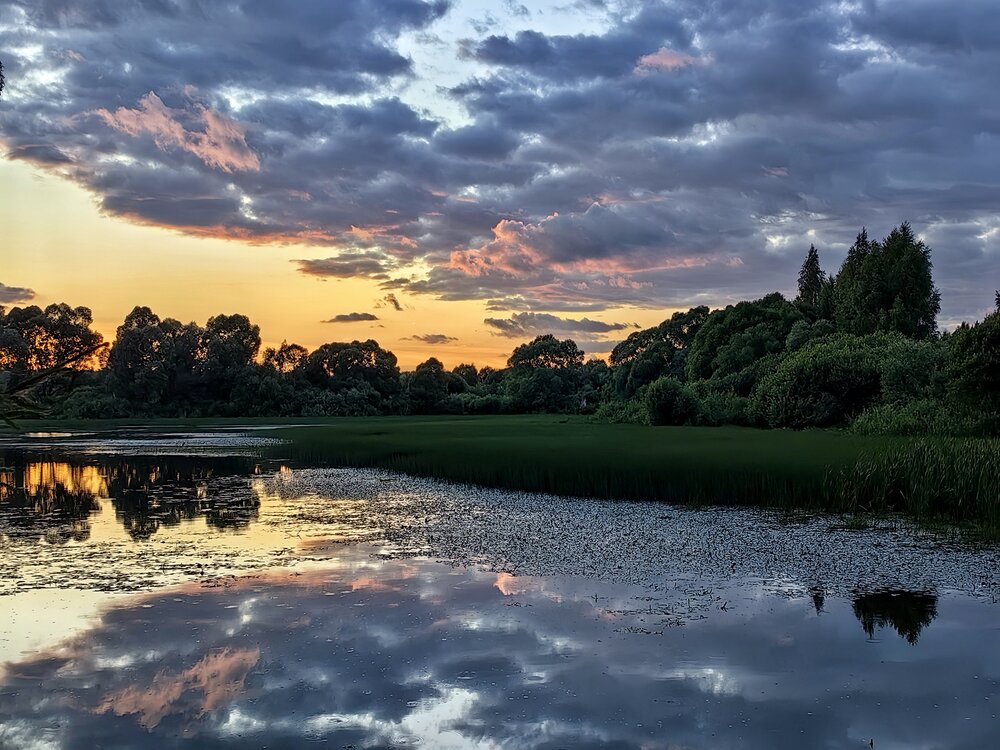 Photograph by Ярославна