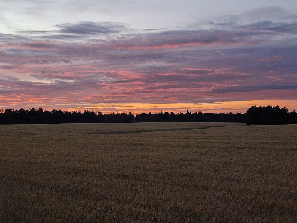 Photograph by Иван Рачинский