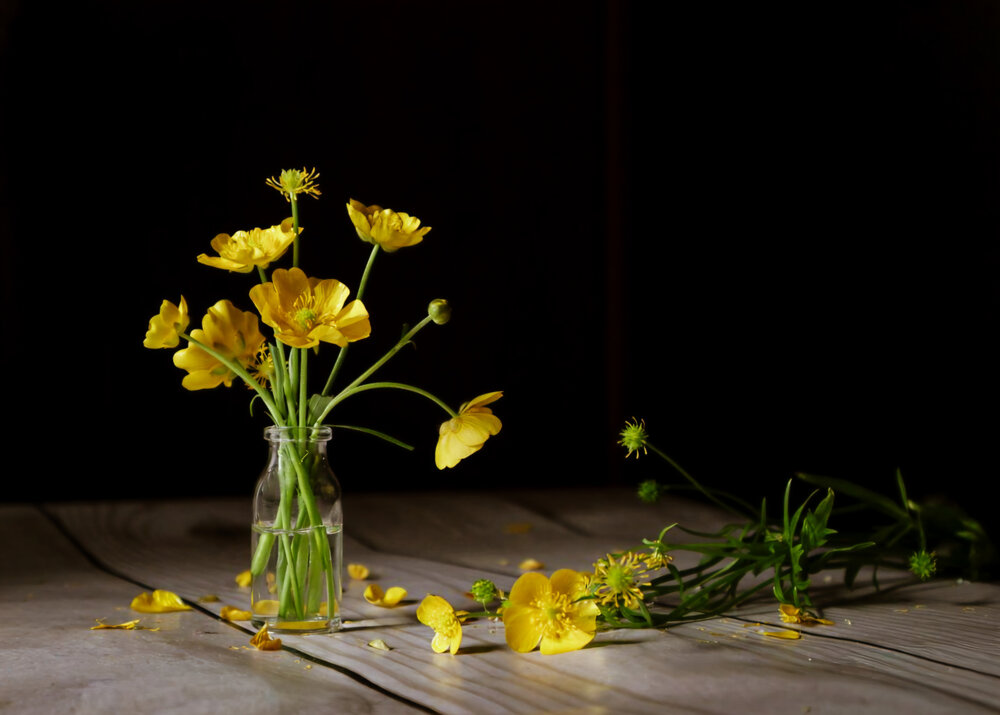 Photograph by Анна Чичилова