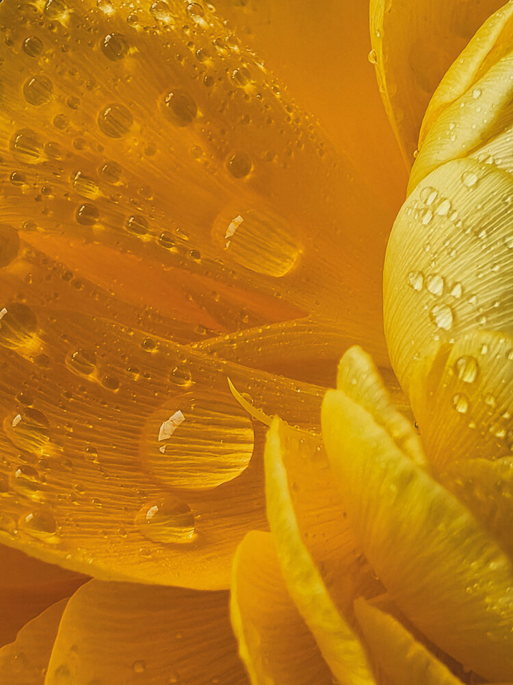 Photograph by Анна Чичилова