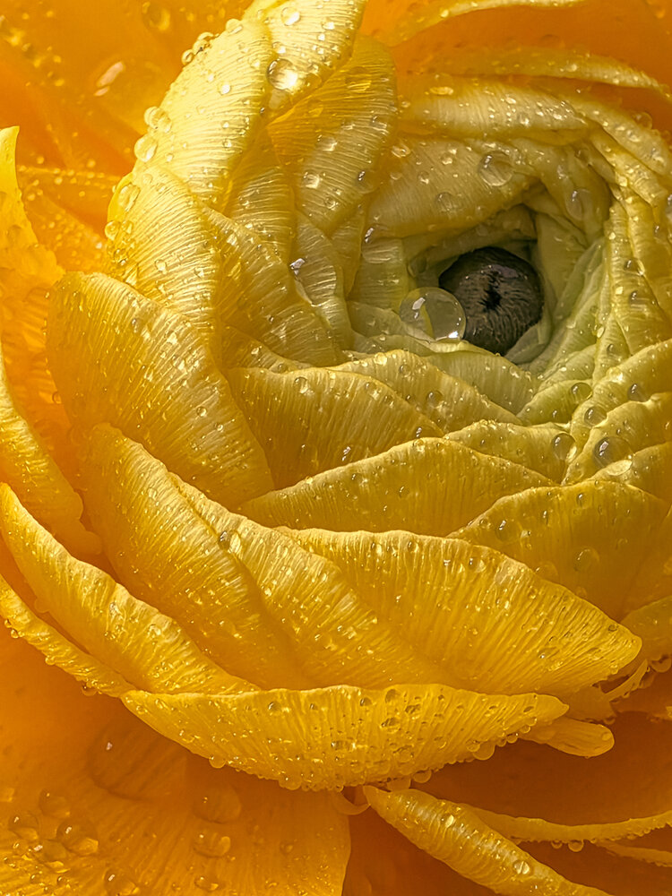 Photograph by Анна Чичилова
