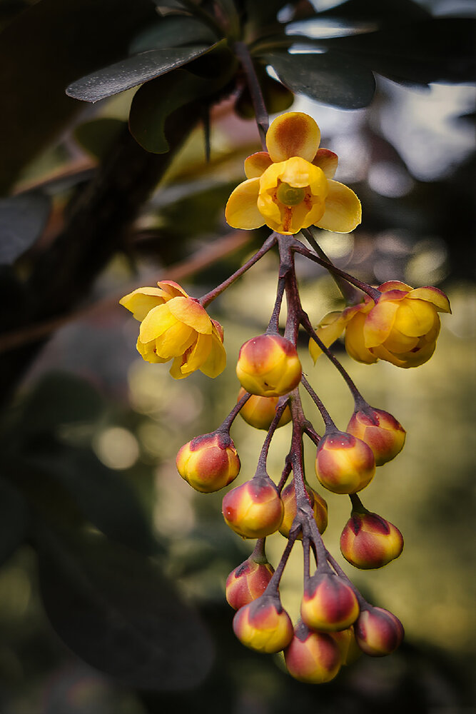 Photograph by Анна Чичилова