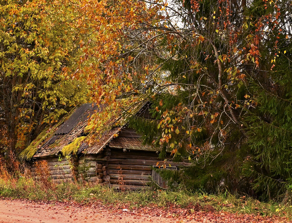 Photograph by Виктория Шажко