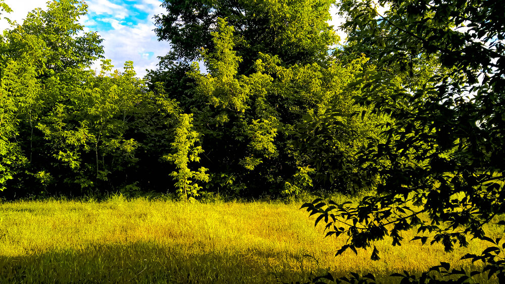 Photo #13792408