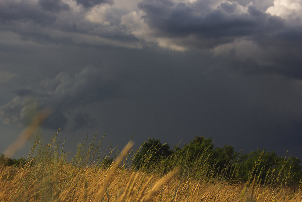 Photograph by Юлия Сысоева