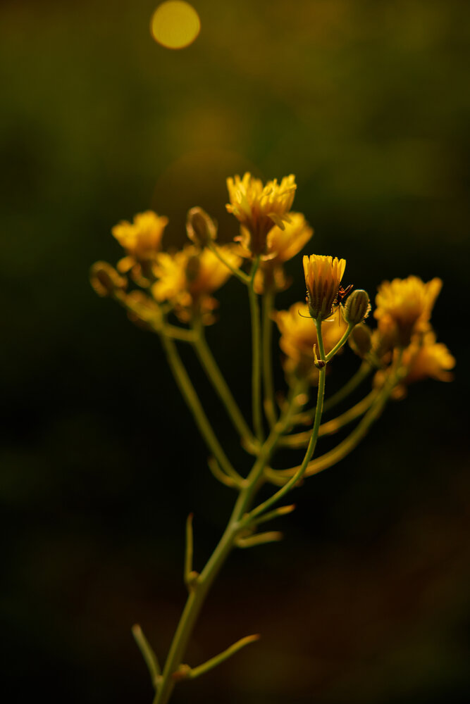 Photograph by Liudmila Vorob’yova