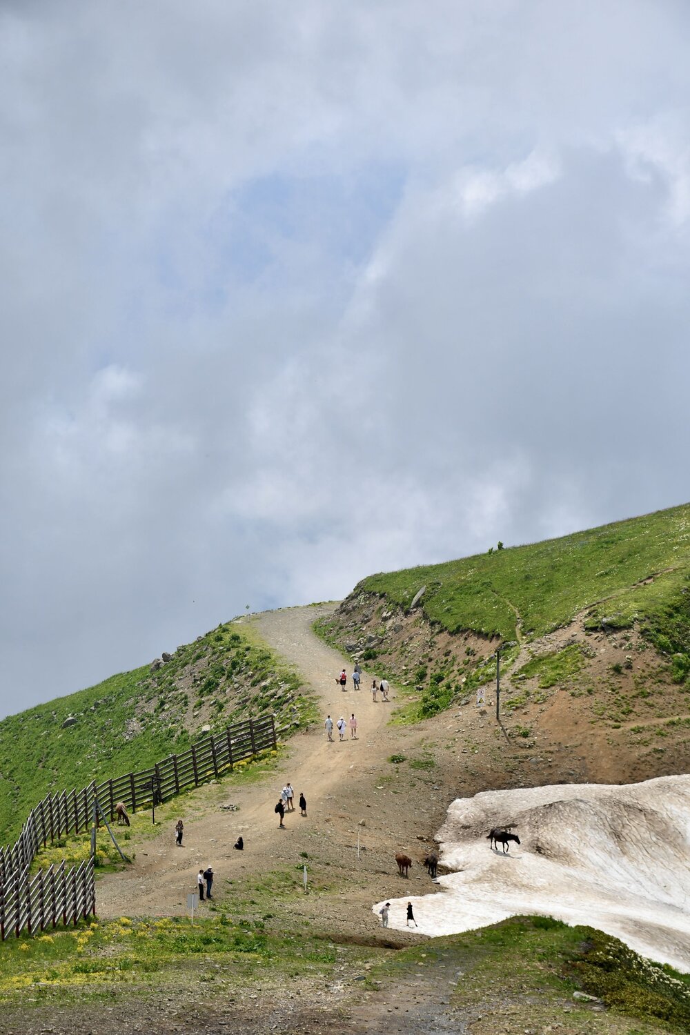 Photo #13792506