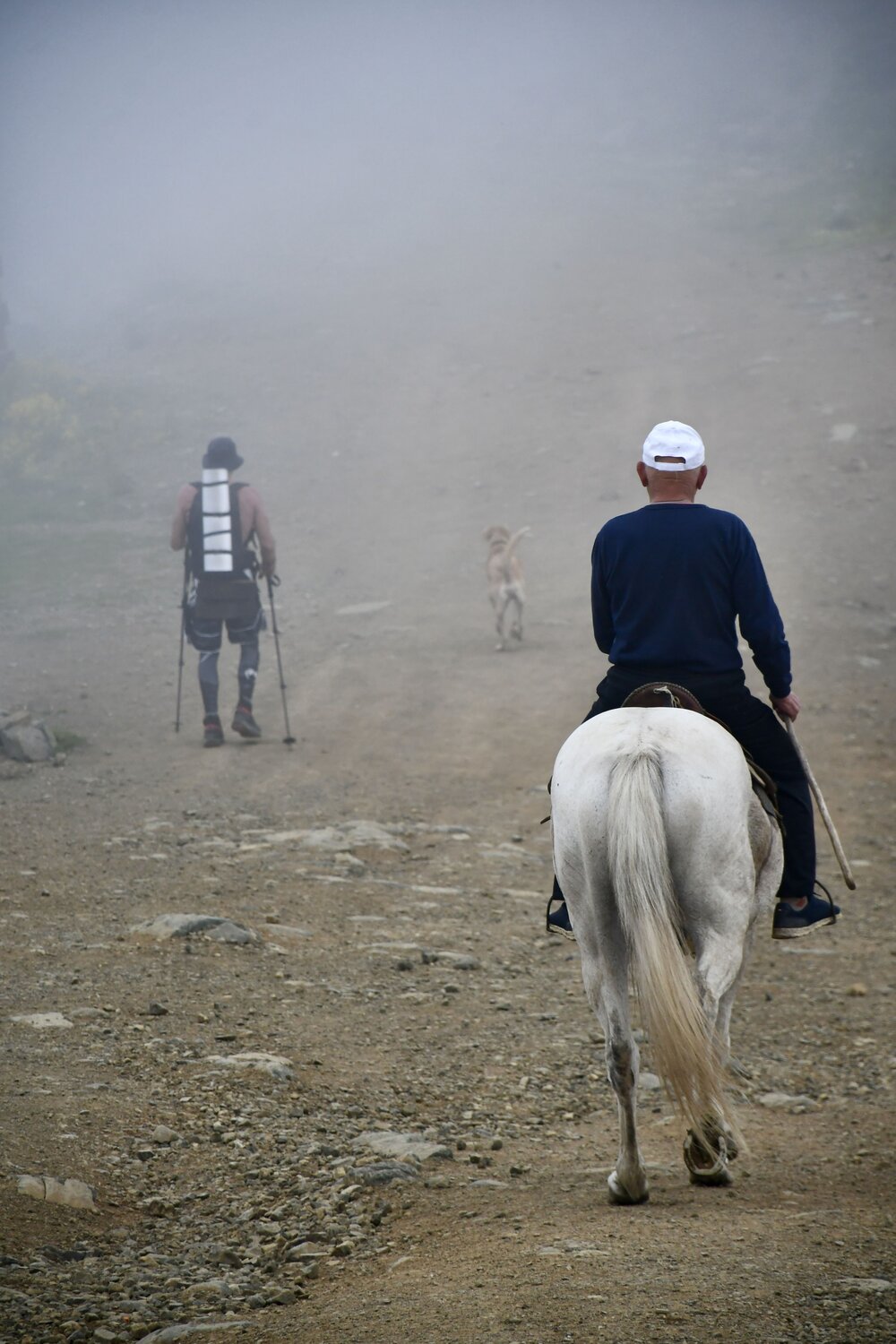 Photo #13792520