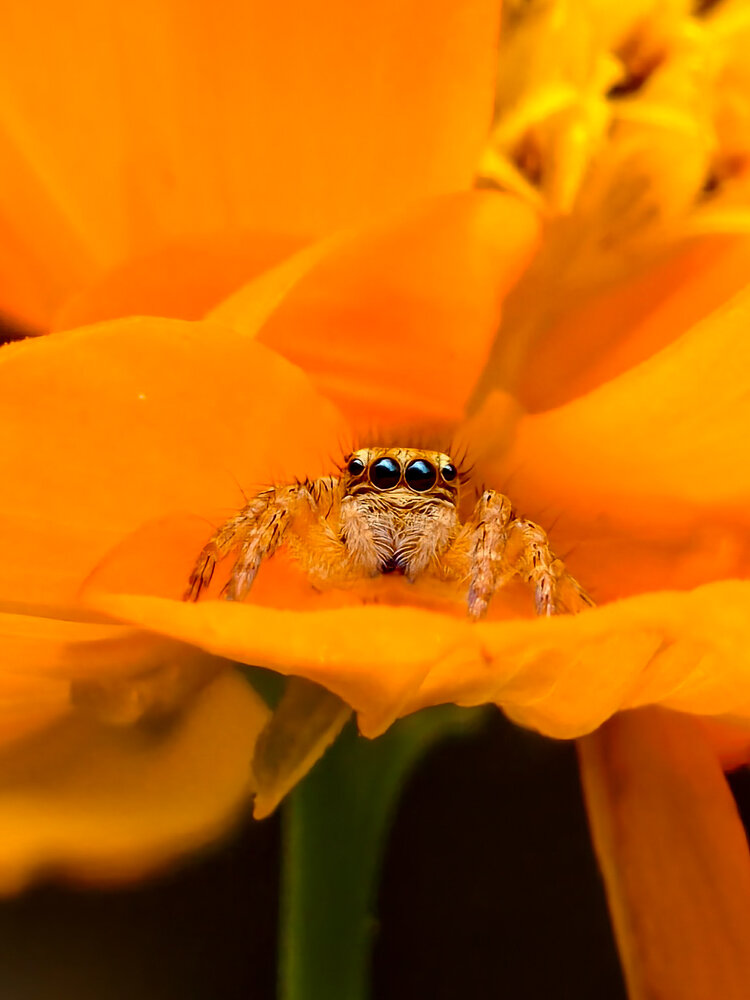 Photograph by Chinchu Chandran