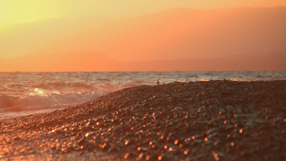 Photograph by Роман Гурененко