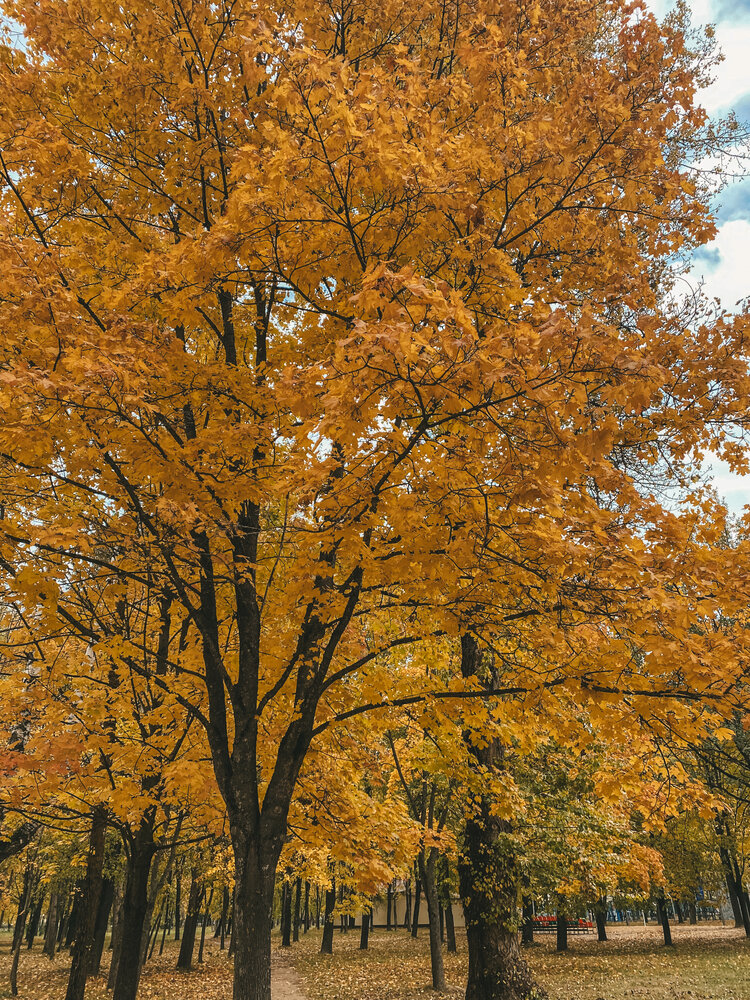 Photograph by Polina Pisar