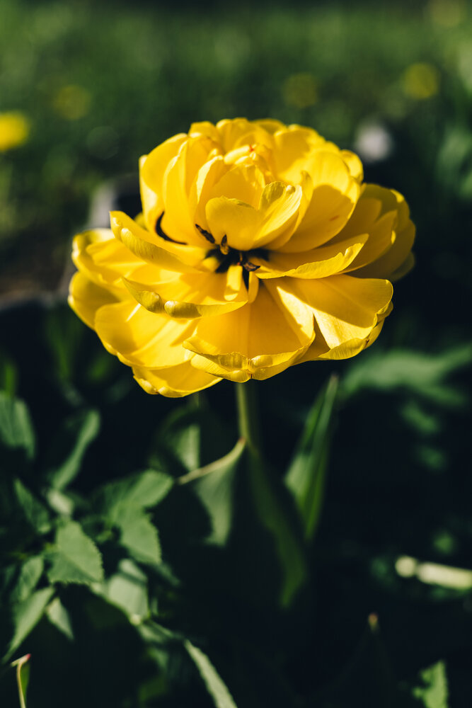 Photograph by Svetlana Fomenko