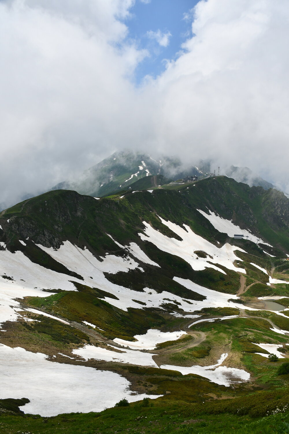 Photo #13792565