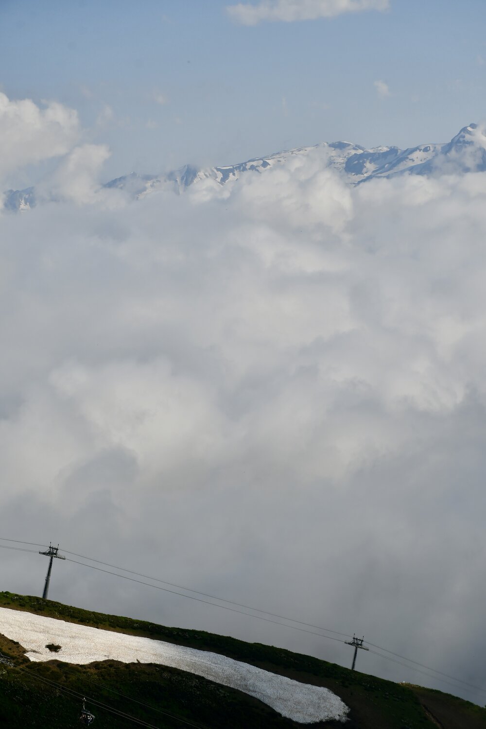 Photo #13792575