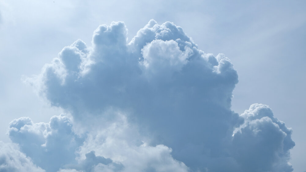 Photo #13792583