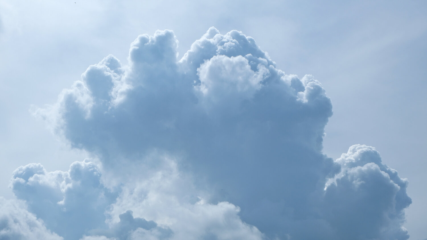 Photo #13792583