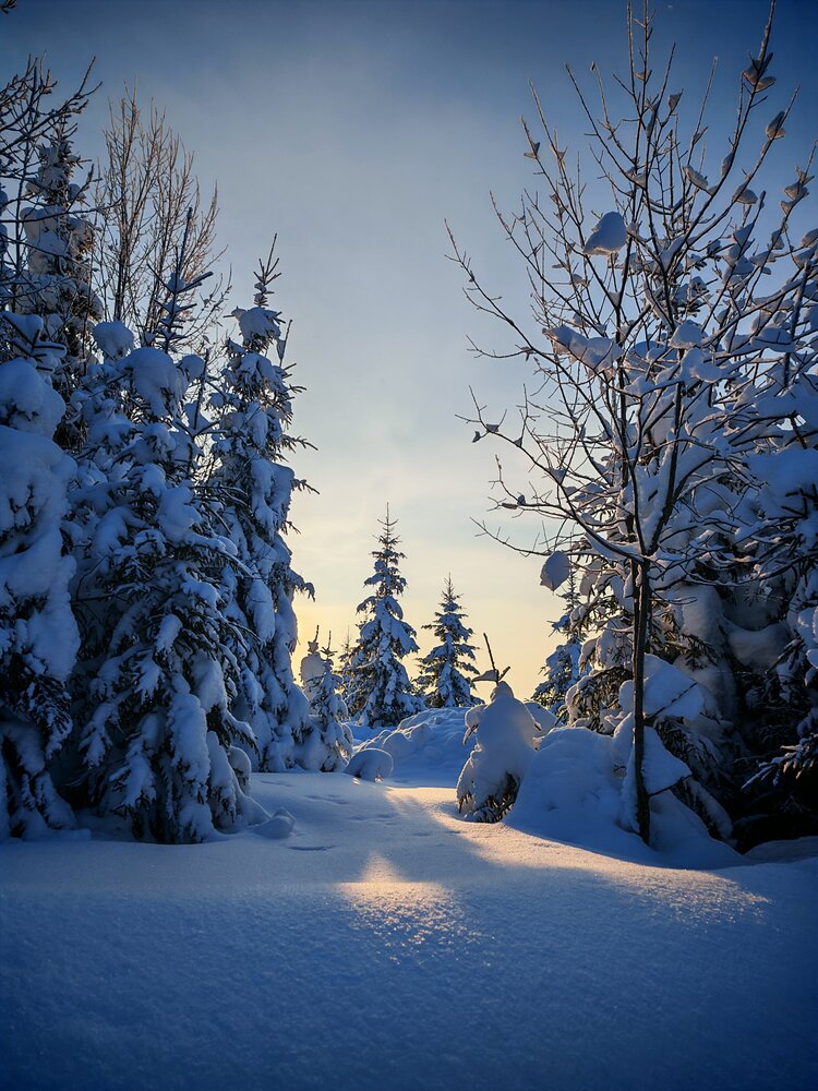 Photograph by Наталья Половая