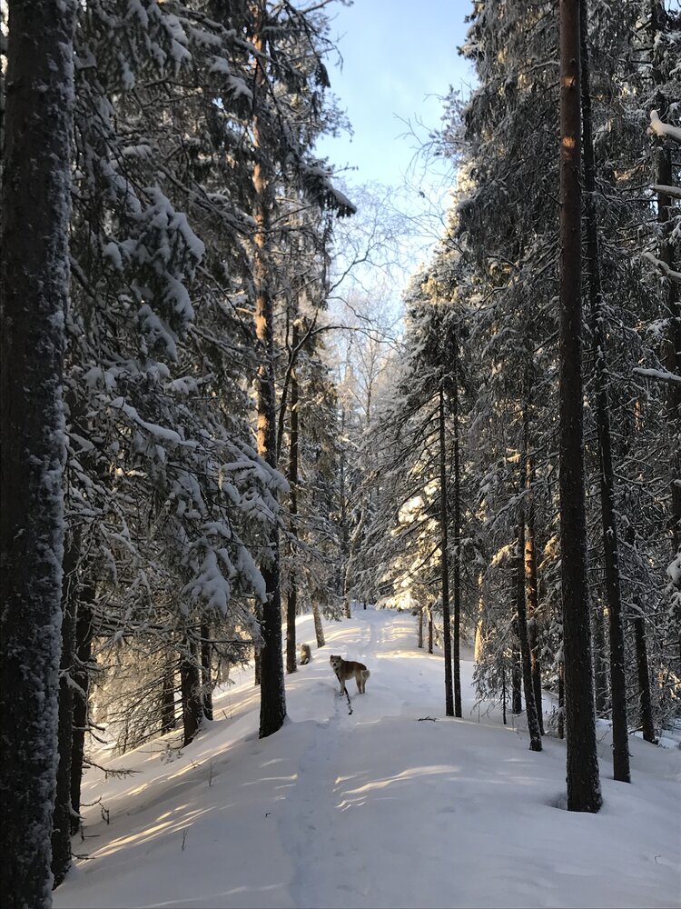 Photograph by Наталья Тарабычина