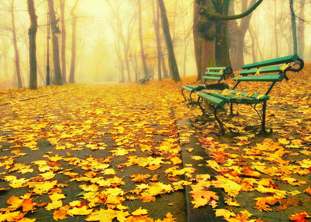 Photograph by Владимир