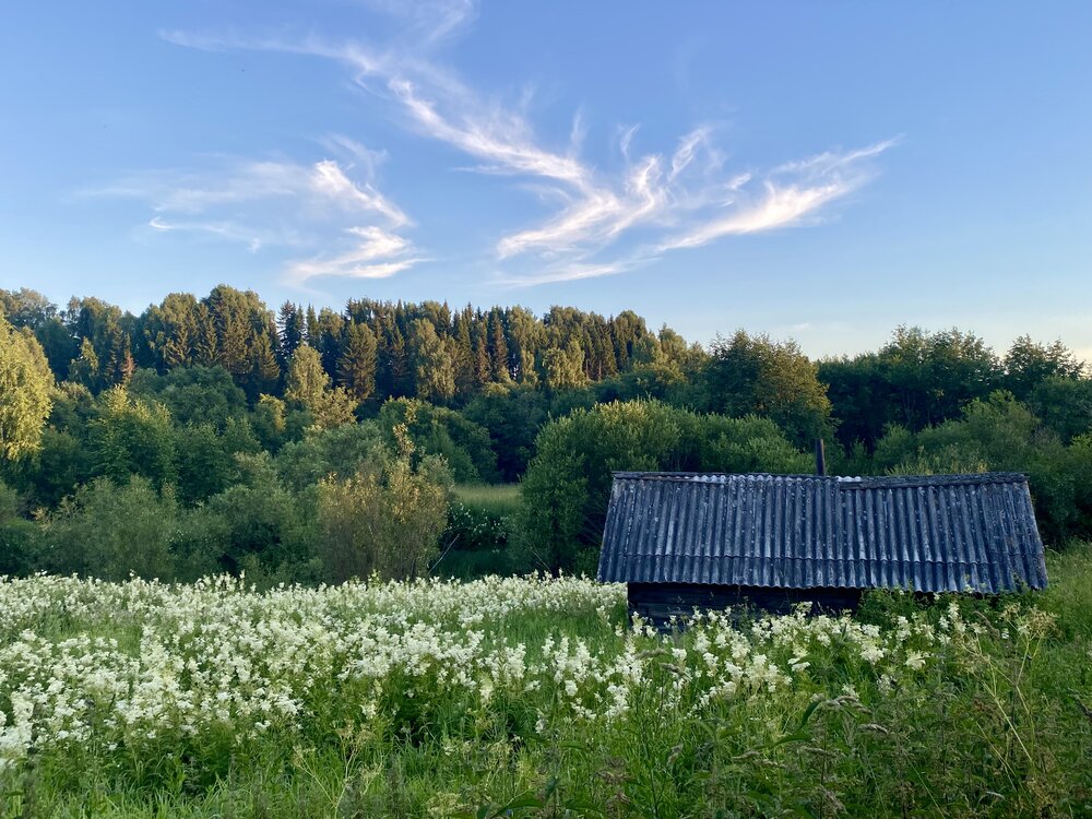 Photograph by Наталья Тарабычина
