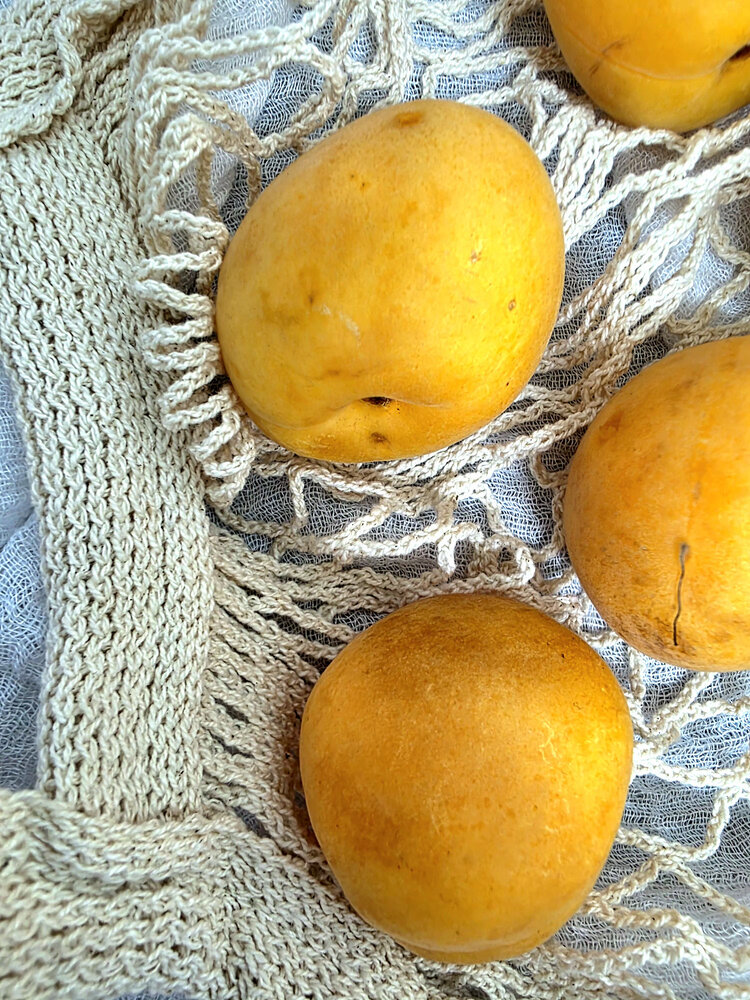 Photograph by Marharyta Khodas