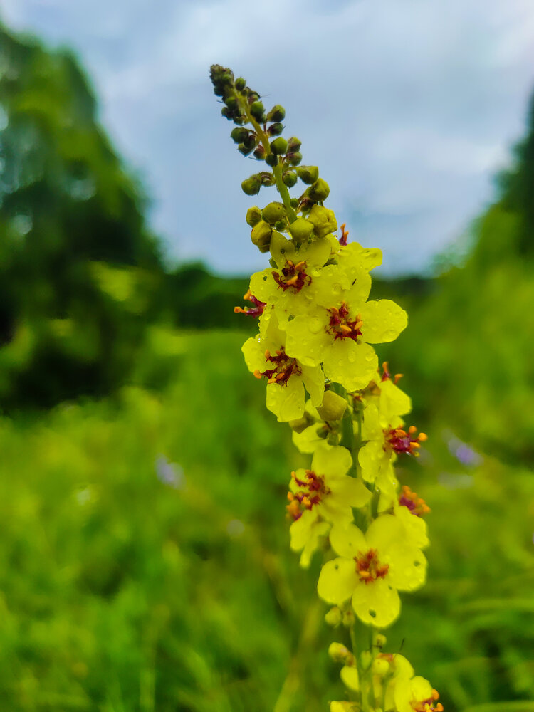 Photograph by Даша Анохина