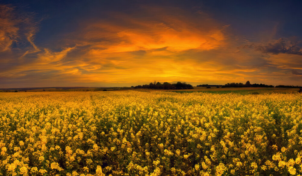 Photograph by Владимир