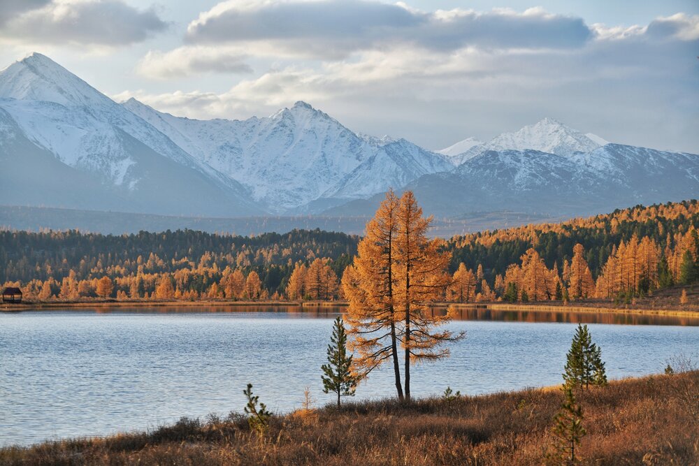 Photograph by Margareth Tikhonova