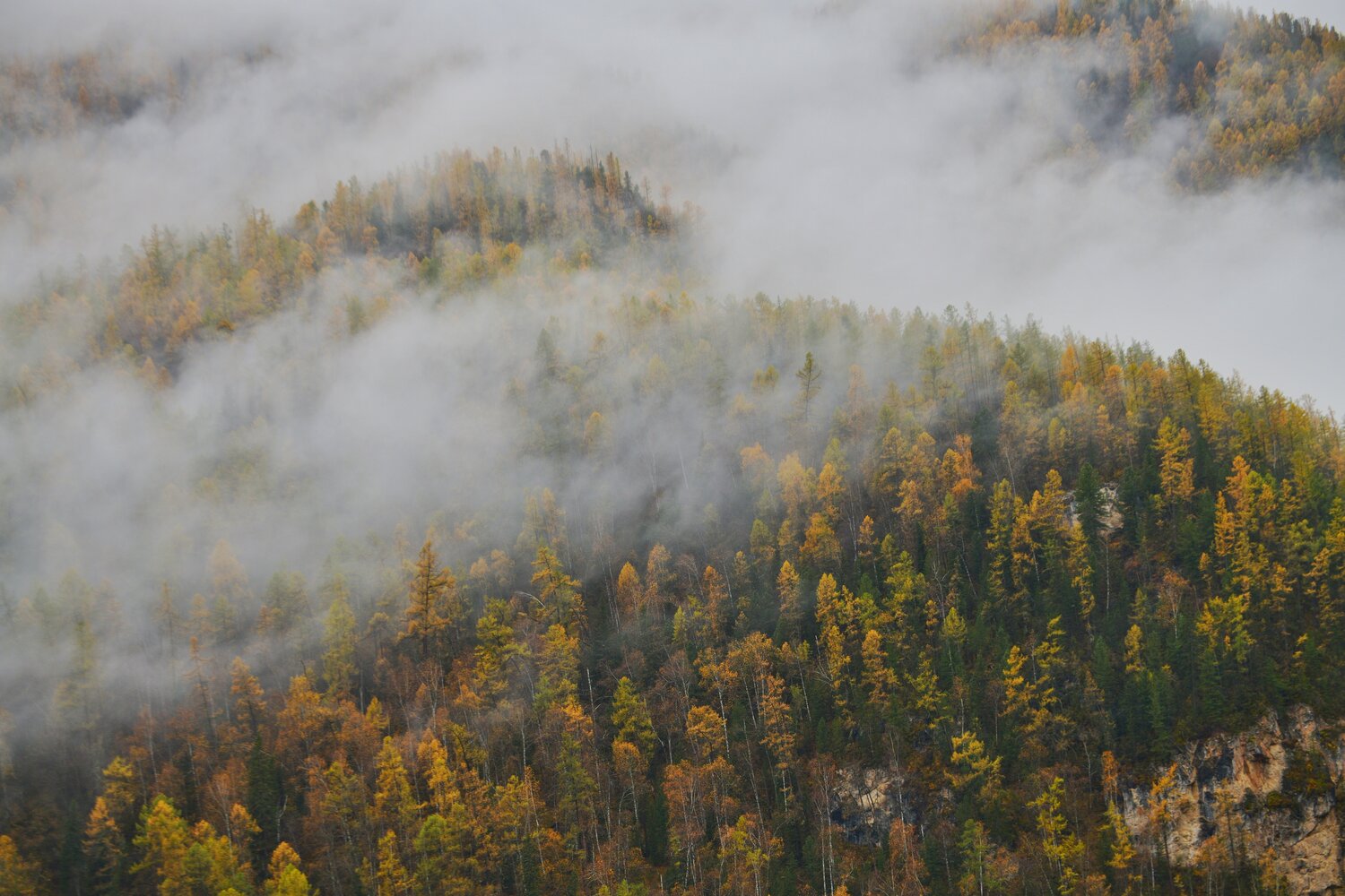 Photo #13792693