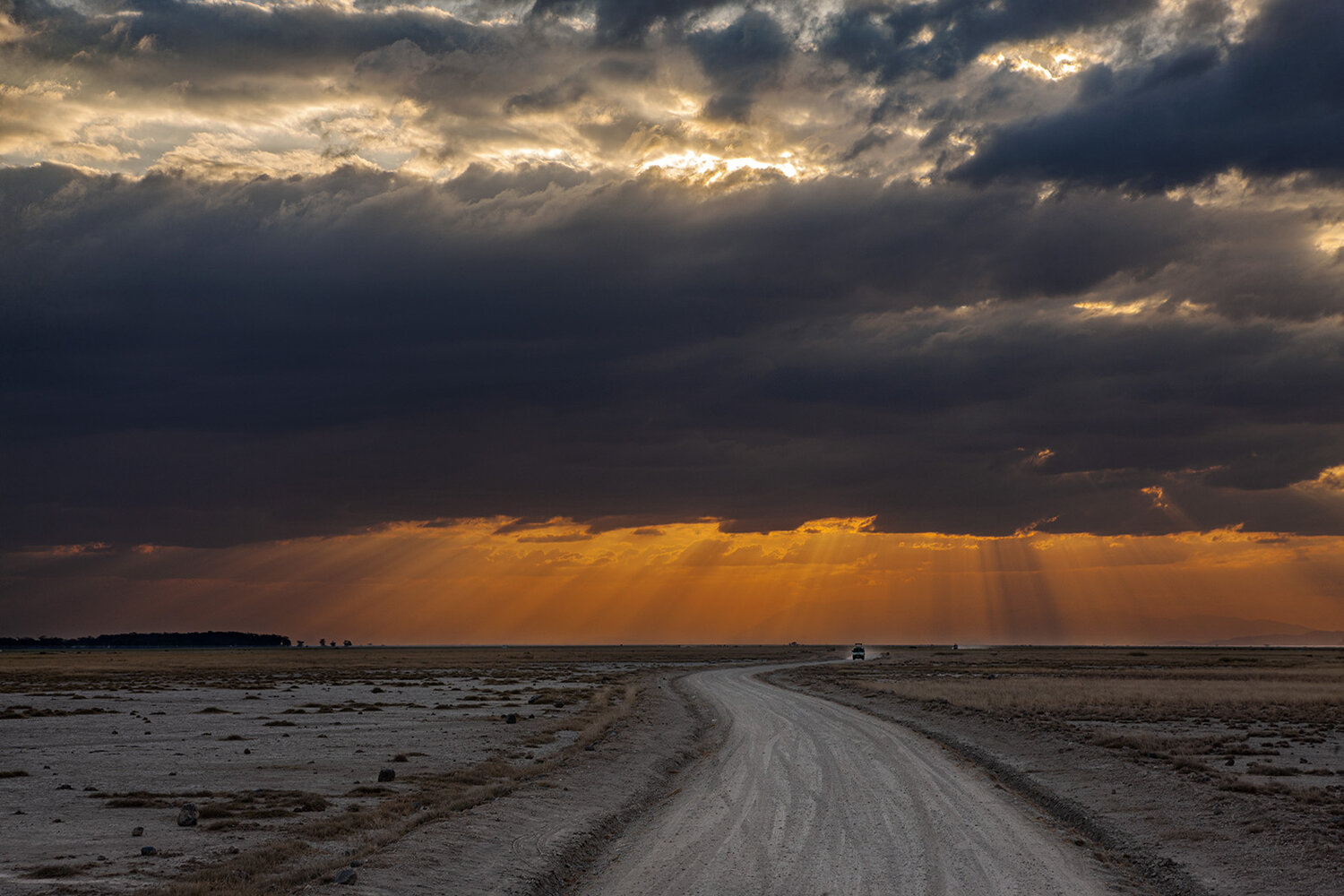 Photo #13792695