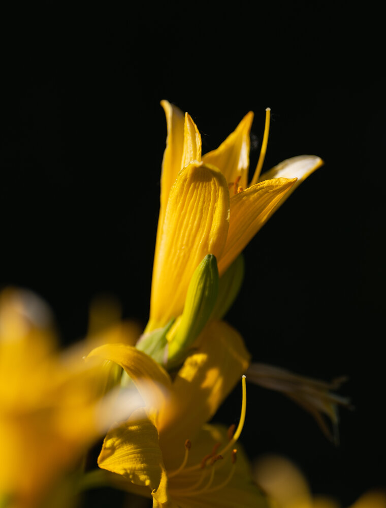 Photograph by Константин Яковлев