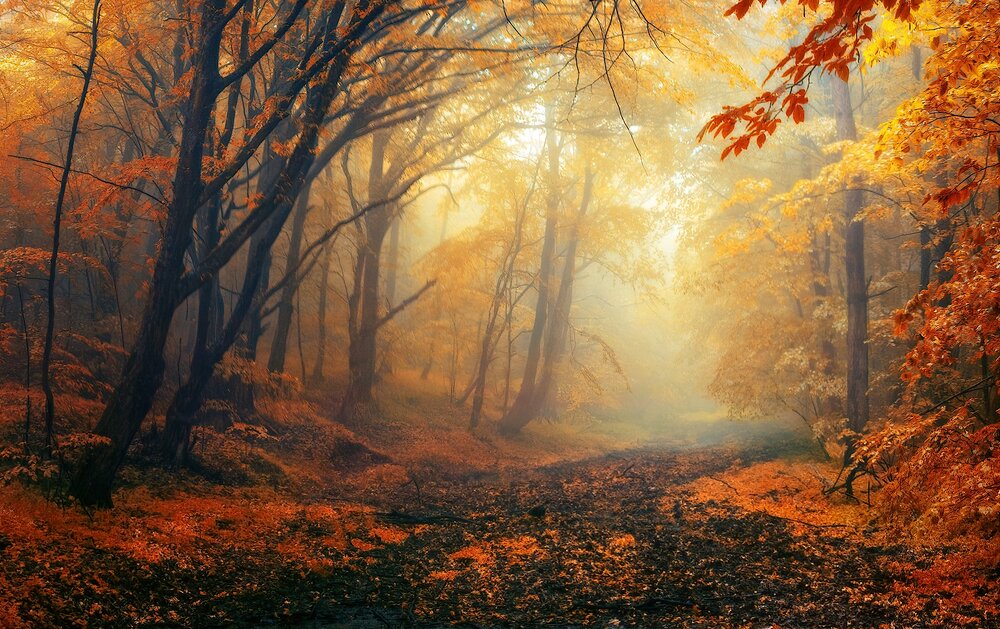 Photograph by Владимир