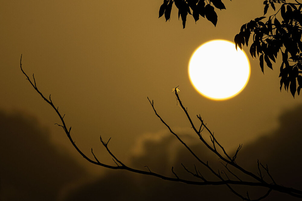 Photograph by K.G.Supun Nayanajith Samaraweera Nayanajith