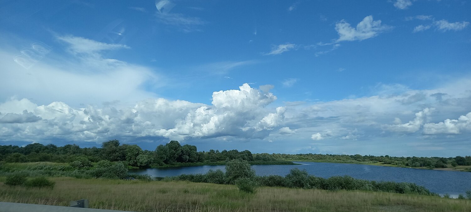 Photo #13793035