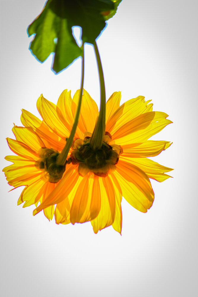 Photograph by Subhajit Datta