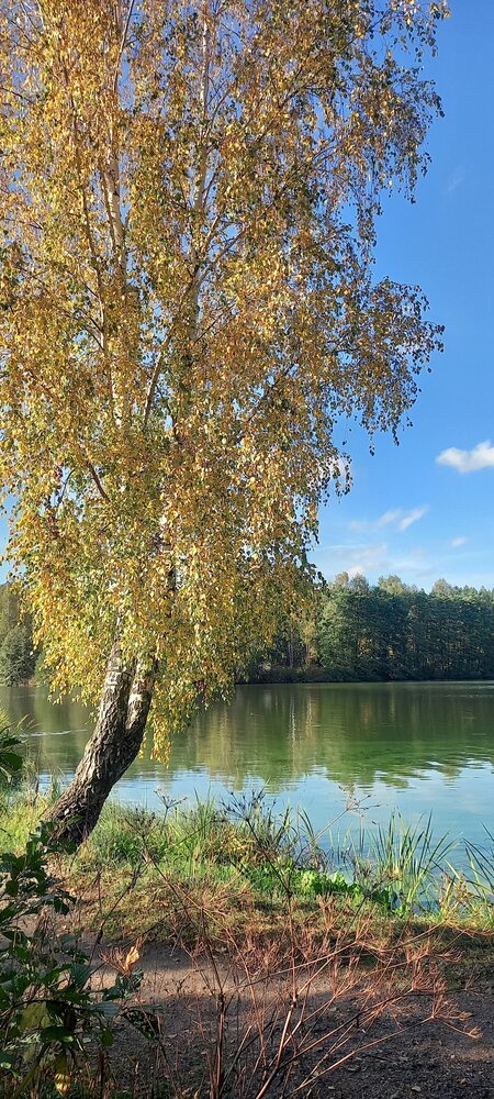 Photograph by Татьяна Зиновенко