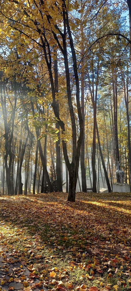 Photograph by Татьяна Зиновенко