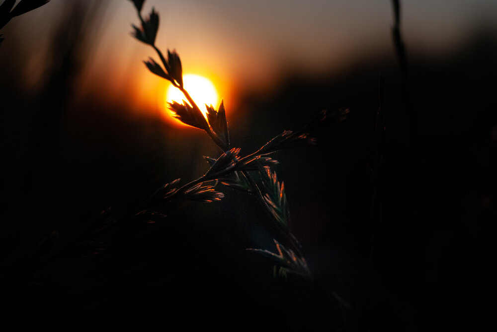 Photograph by Наталия Ерёмина