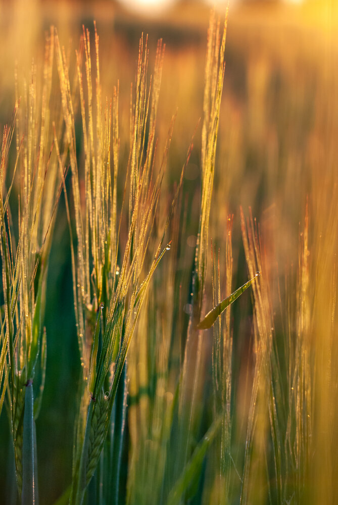 Photograph by Наталия Ерёмина