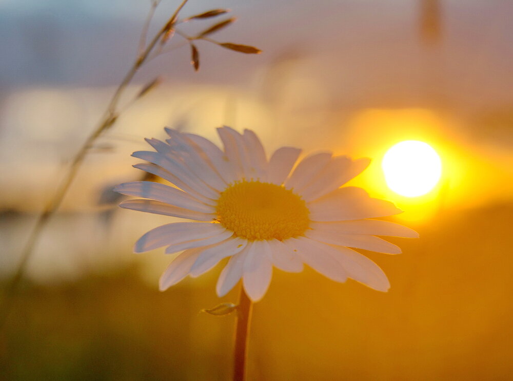 Photograph by Валерий Смирнов