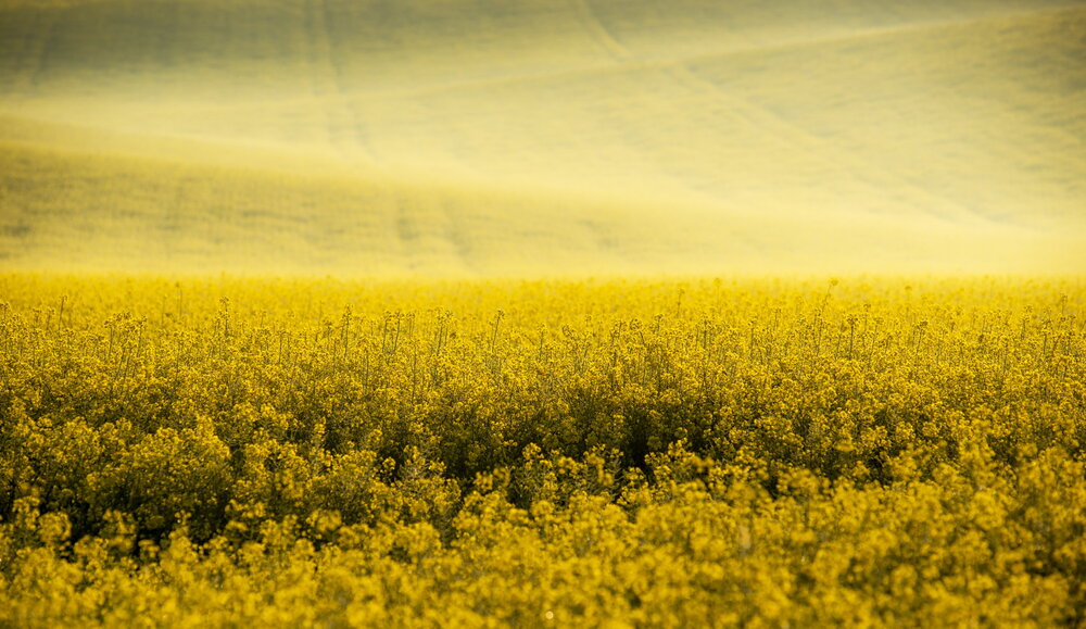 Photograph by Валерий Смирнов