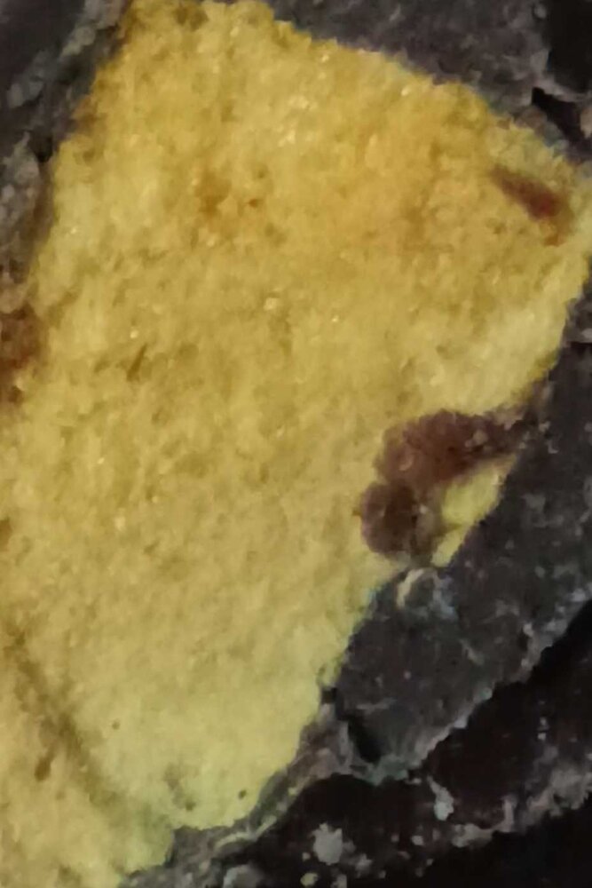 Tasteful fillings