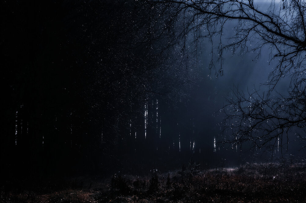 Photograph by Юлия Лушникова