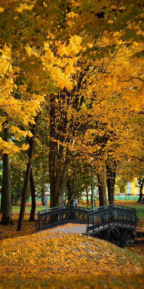 Photograph by Aliaksei Jodko