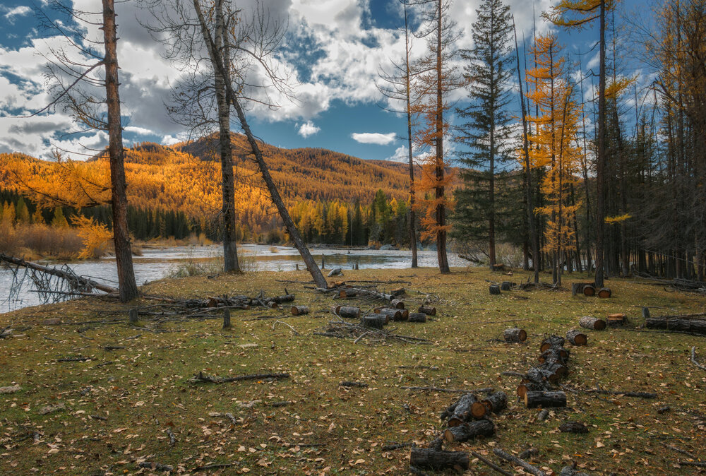 Photograph by Юдинских Марина