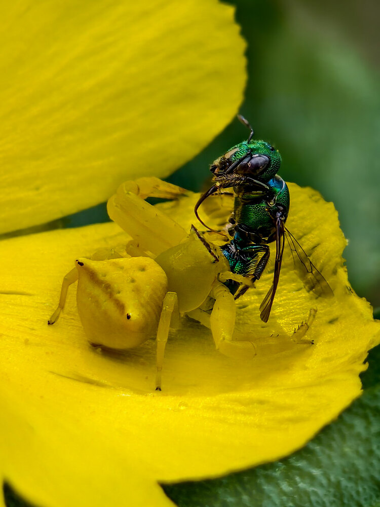 Photograph by Chinchu Chandran