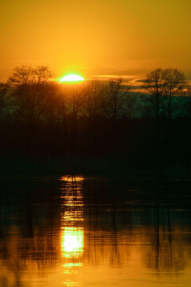 Photograph by Дмитрий Бортников