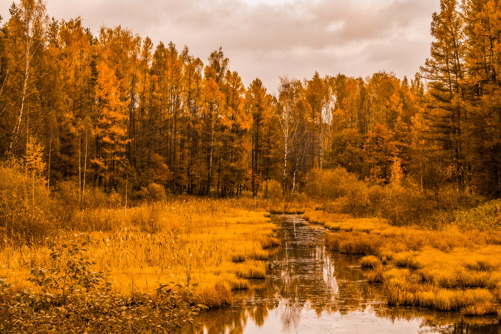 Photograph by Дмитрий Бортников
