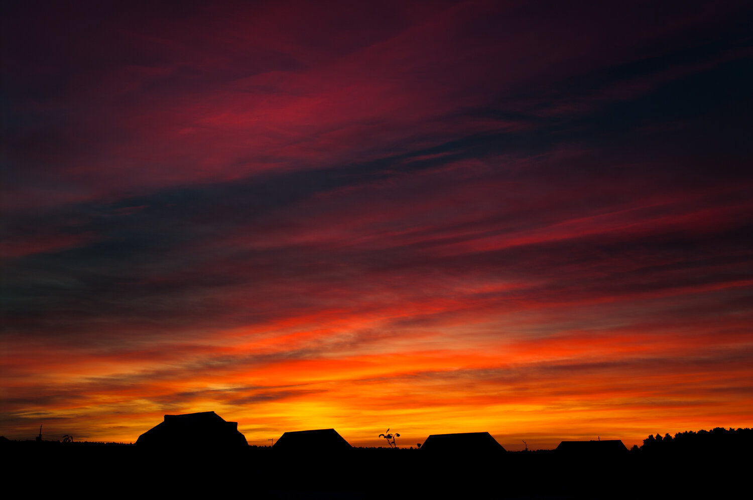 Photo #13793392