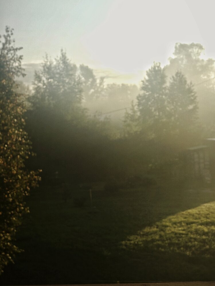 Photograph by Евгения Владимировна